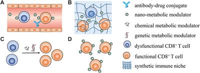 Editorial: Metabolic Intervention Based on Functional Biomaterial Strategy to Potentiate Cancer Immunotherapy, Volume I